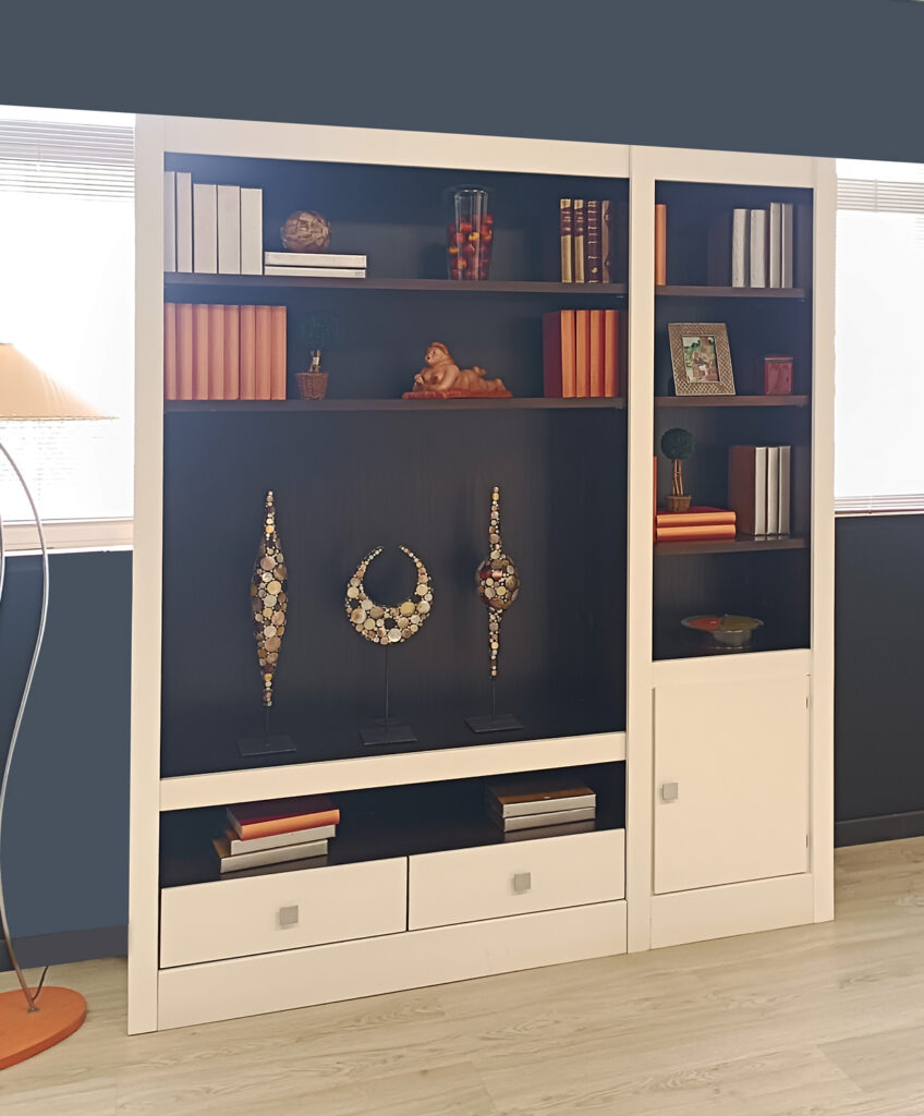 Librería con TV moderna