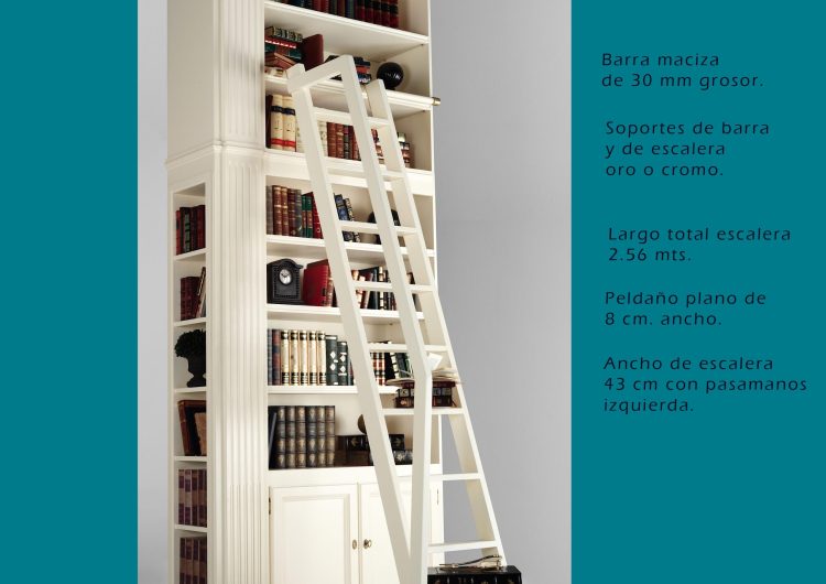 Barra-altura-2.39--y-Escalera-peldaño-plano-con-pasamanos-para-alturas-totales-de-2,80-a-3